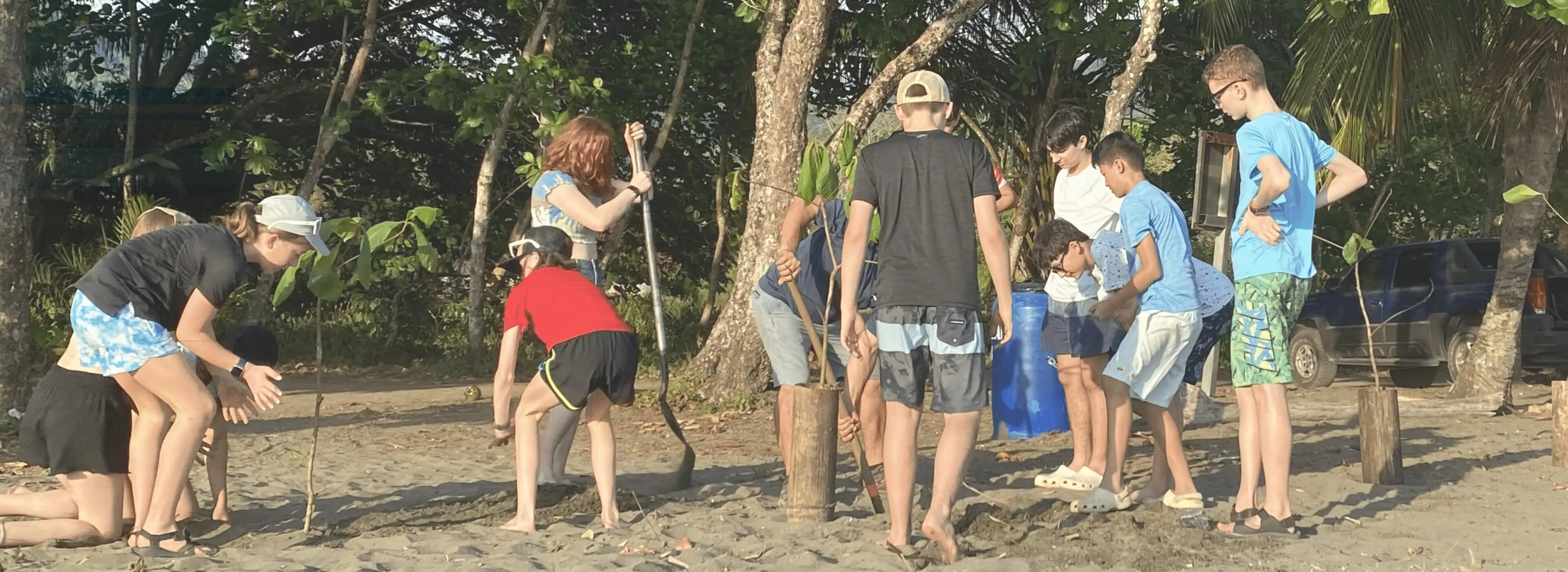 A group of youth and adult volunteers work together on a sandy beach, digging holes and placing wooden posts among trees and greenery.